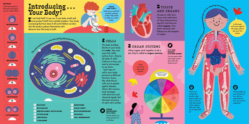 The Interactive Human Body Book