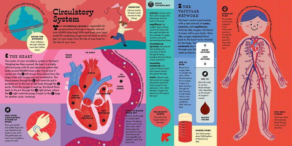 The Interactive Human Body Book
