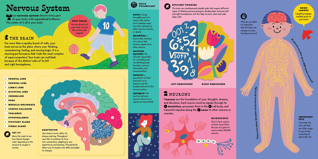 The Interactive Human Body Book