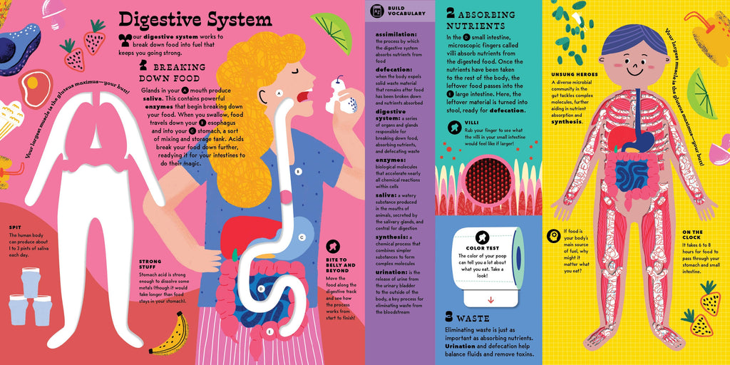 The Interactive Human Body Book
