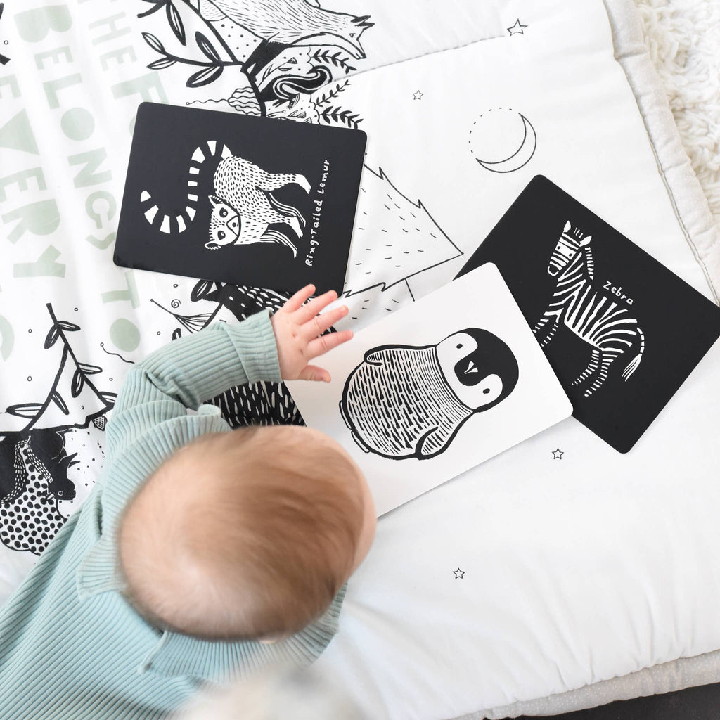 Baby Art Cards | Black and White Animals