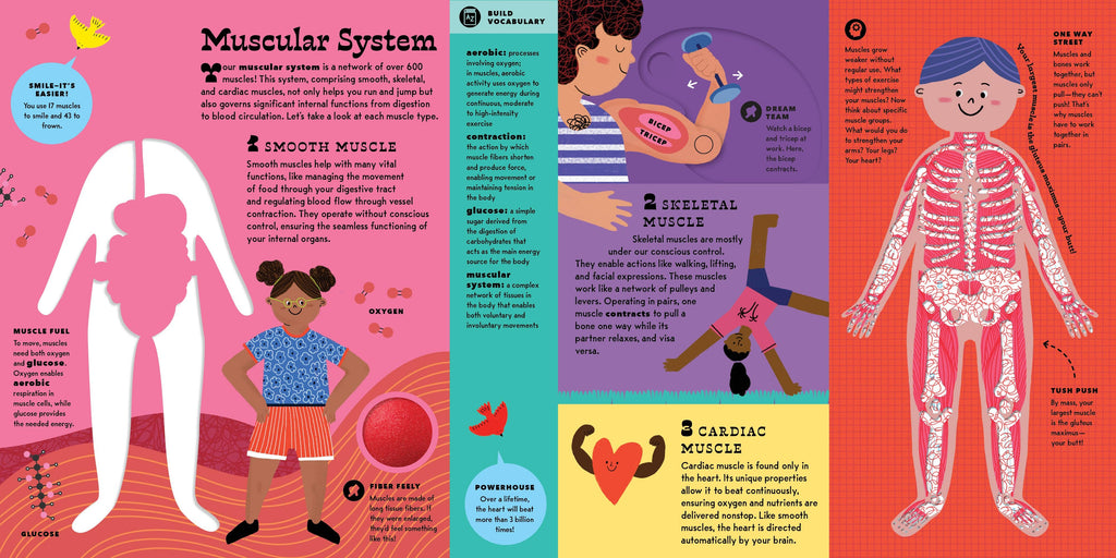 The Interactive Human Body Book
