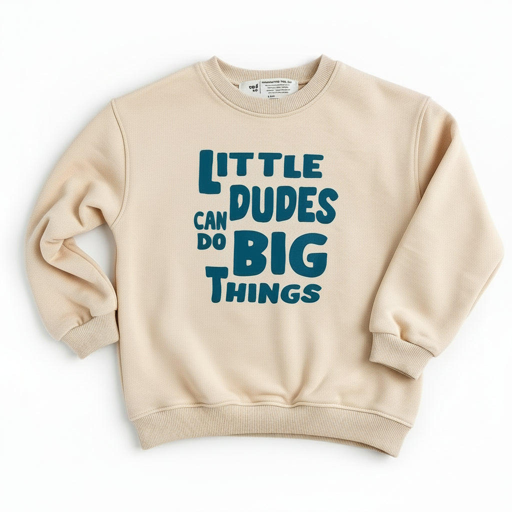 Boy Little Dudes Can Do Big Things Pullover | Natural