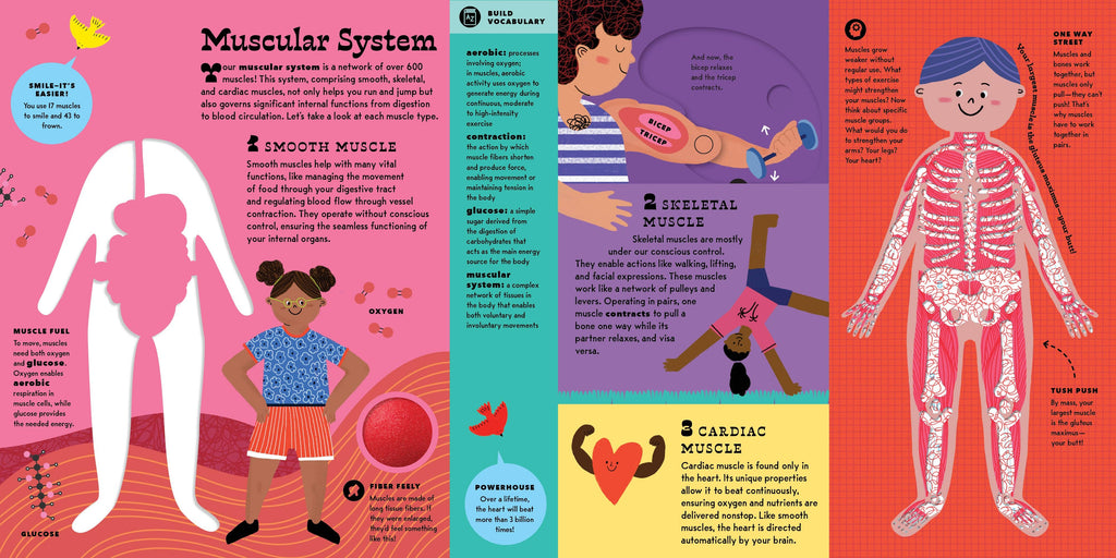 The Interactive Human Body Book