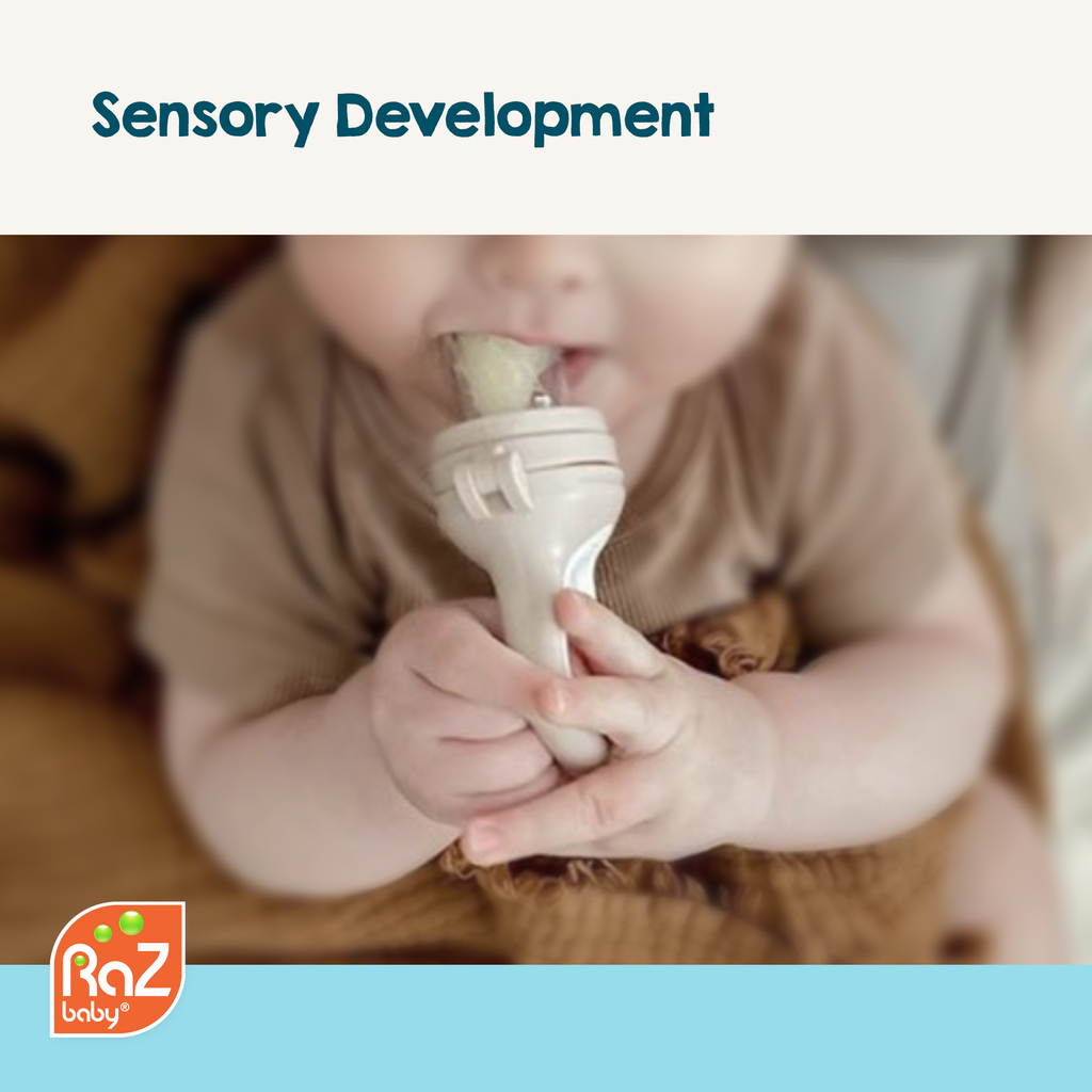 Fruit Feeder & Teether | Gray