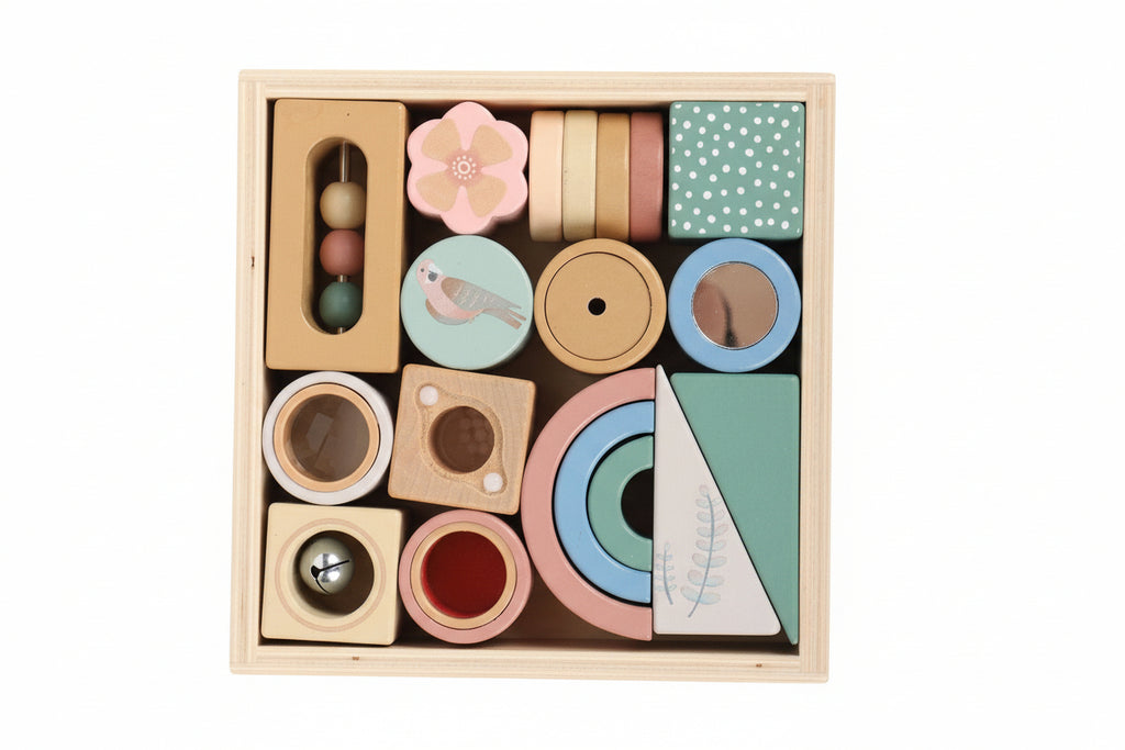 Montessori Style Wooden Activity Blocks Set