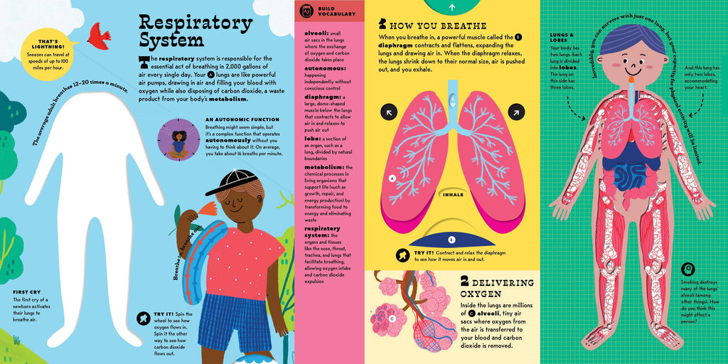The Interactive Human Body Book