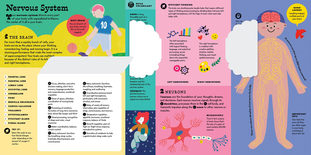 The Interactive Human Body Book