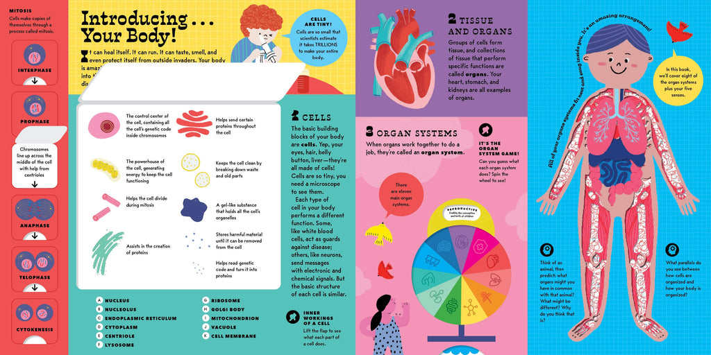 The Interactive Human Body Book