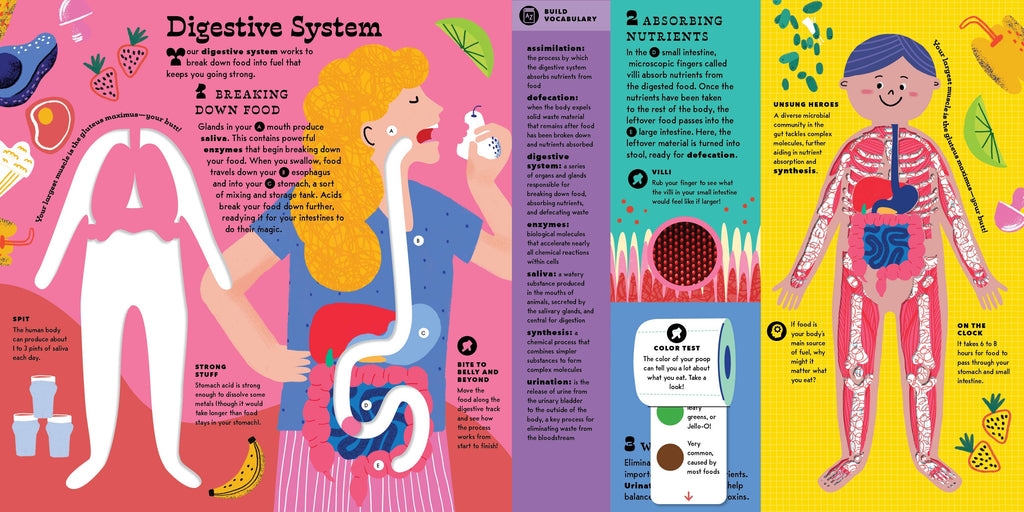 The Interactive Human Body Book
