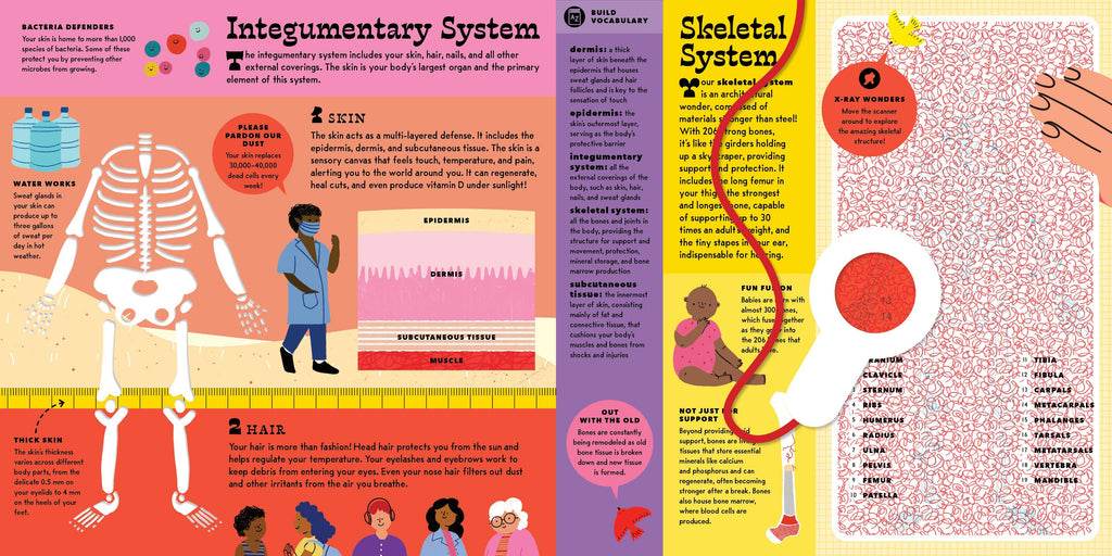 The Interactive Human Body Book