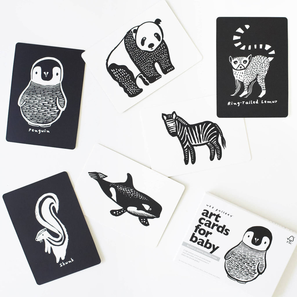Baby Art Cards | Black and White Animals