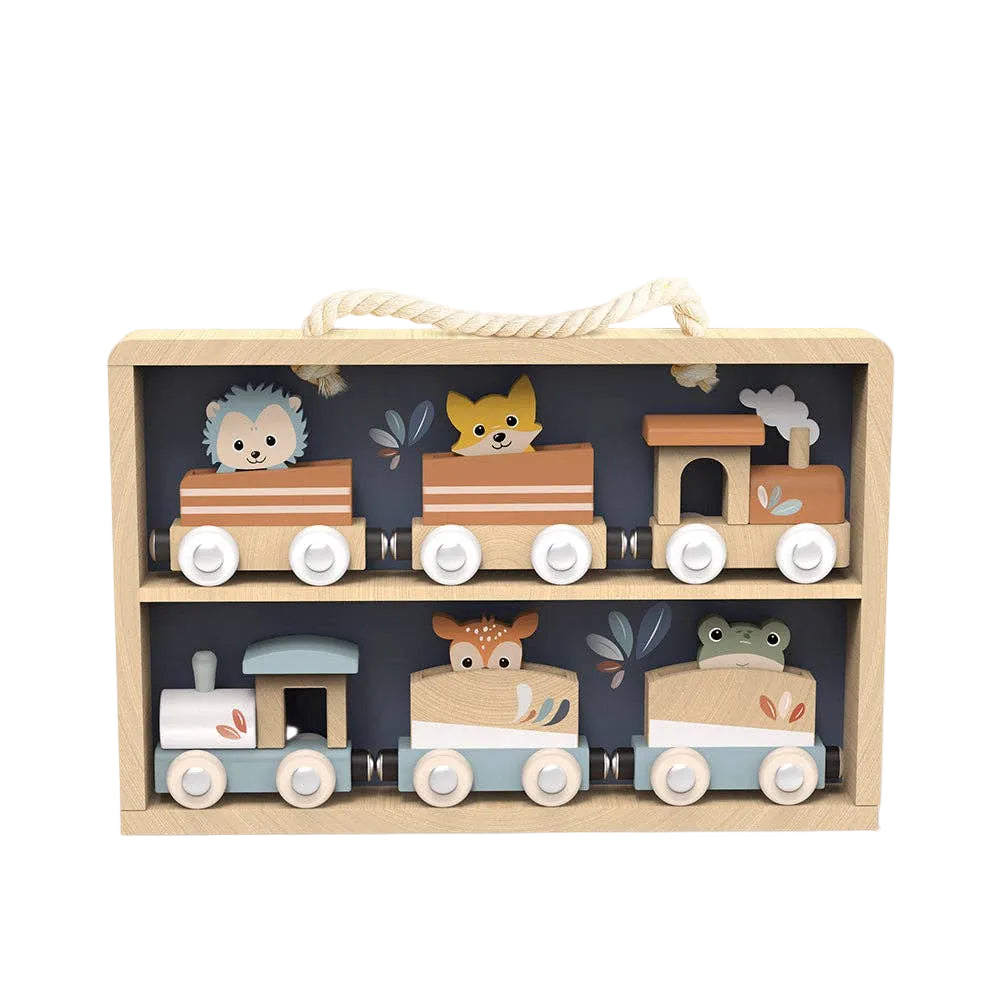 Train Set Display Case