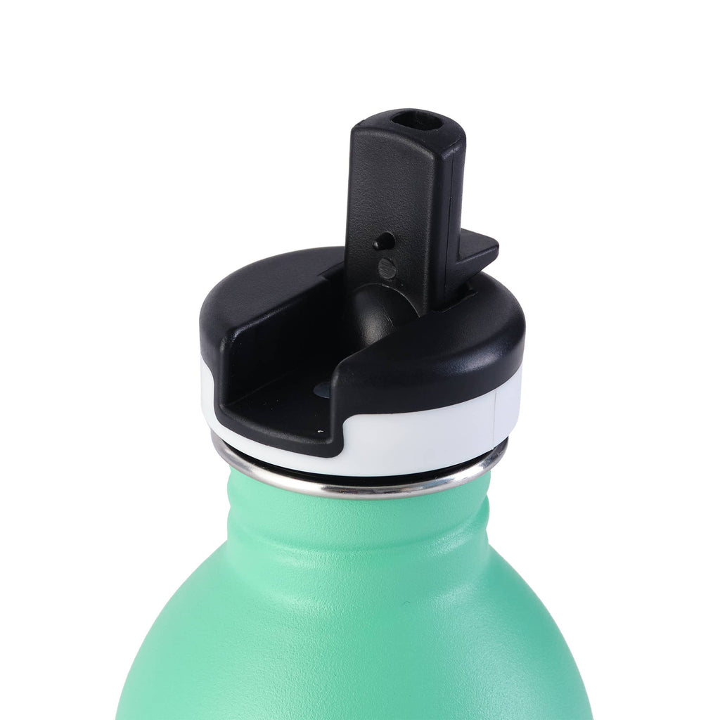 Stainless Steel Bottle | Teal Ricedino Dinosaur