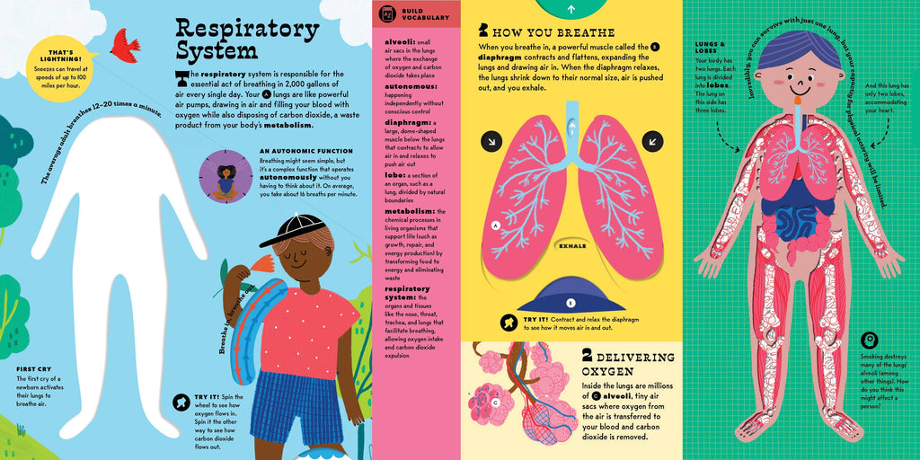 The Interactive Human Body Book