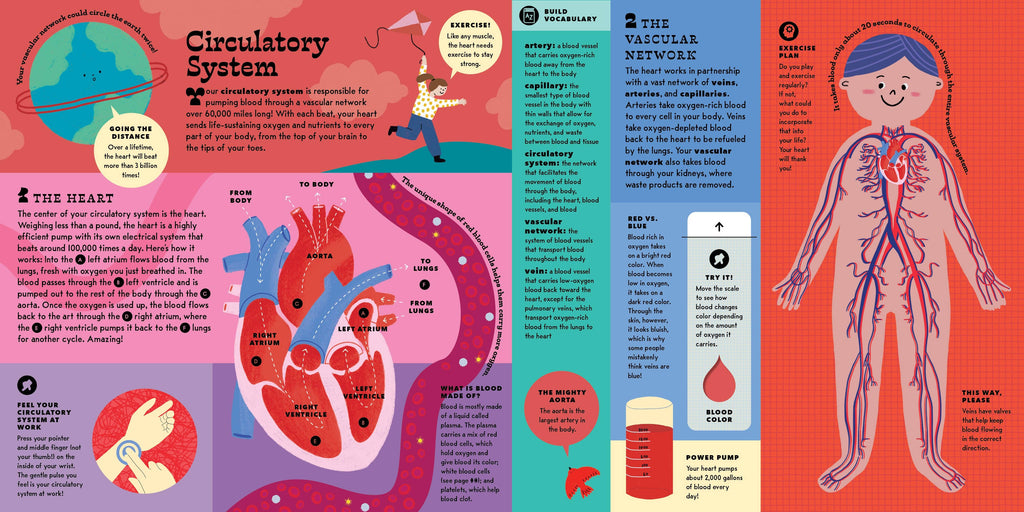 The Interactive Human Body Book
