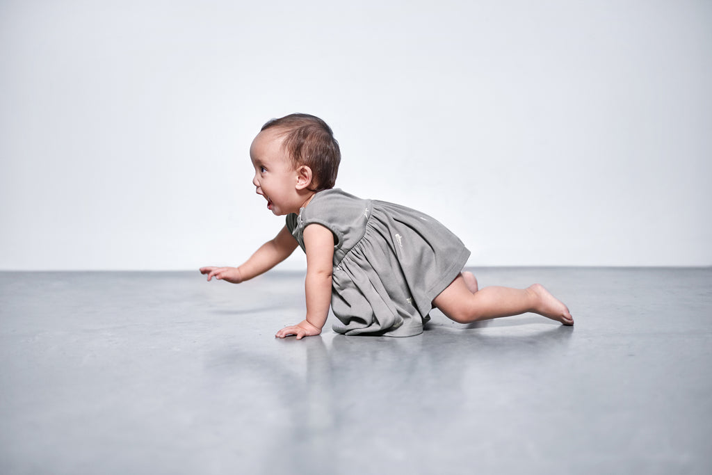 Baby Fit & Flare Dress | Grey OM597B