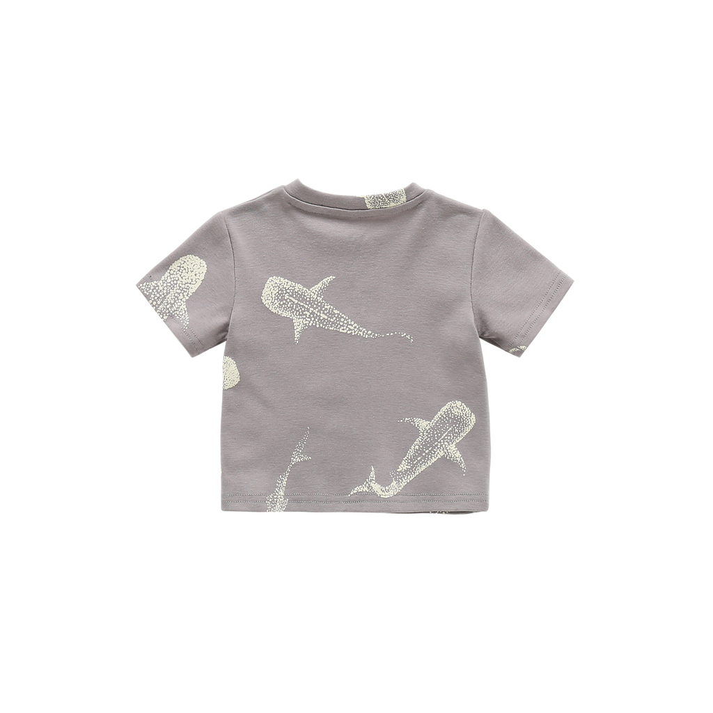 Baby Boxy T-Shirt | Grey OM604